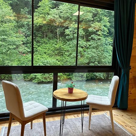 Ardeşen Kiana Bungalov B&B 외부 사진