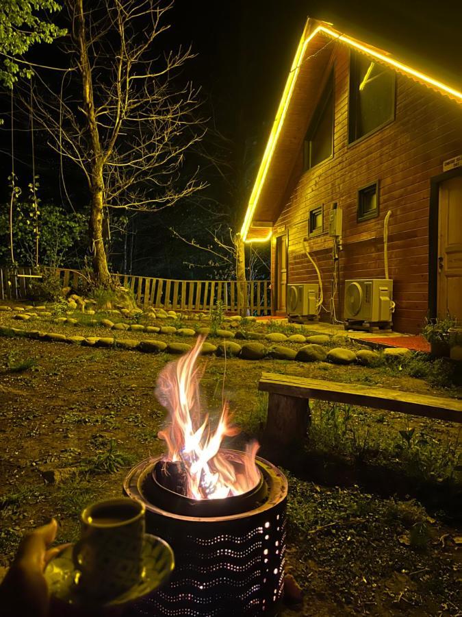 Ardeşen Kiana Bungalov B&B 외부 사진
