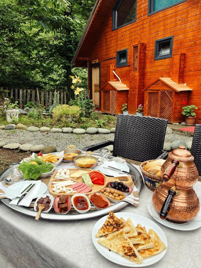 Ardeşen Kiana Bungalov B&B 외부 사진