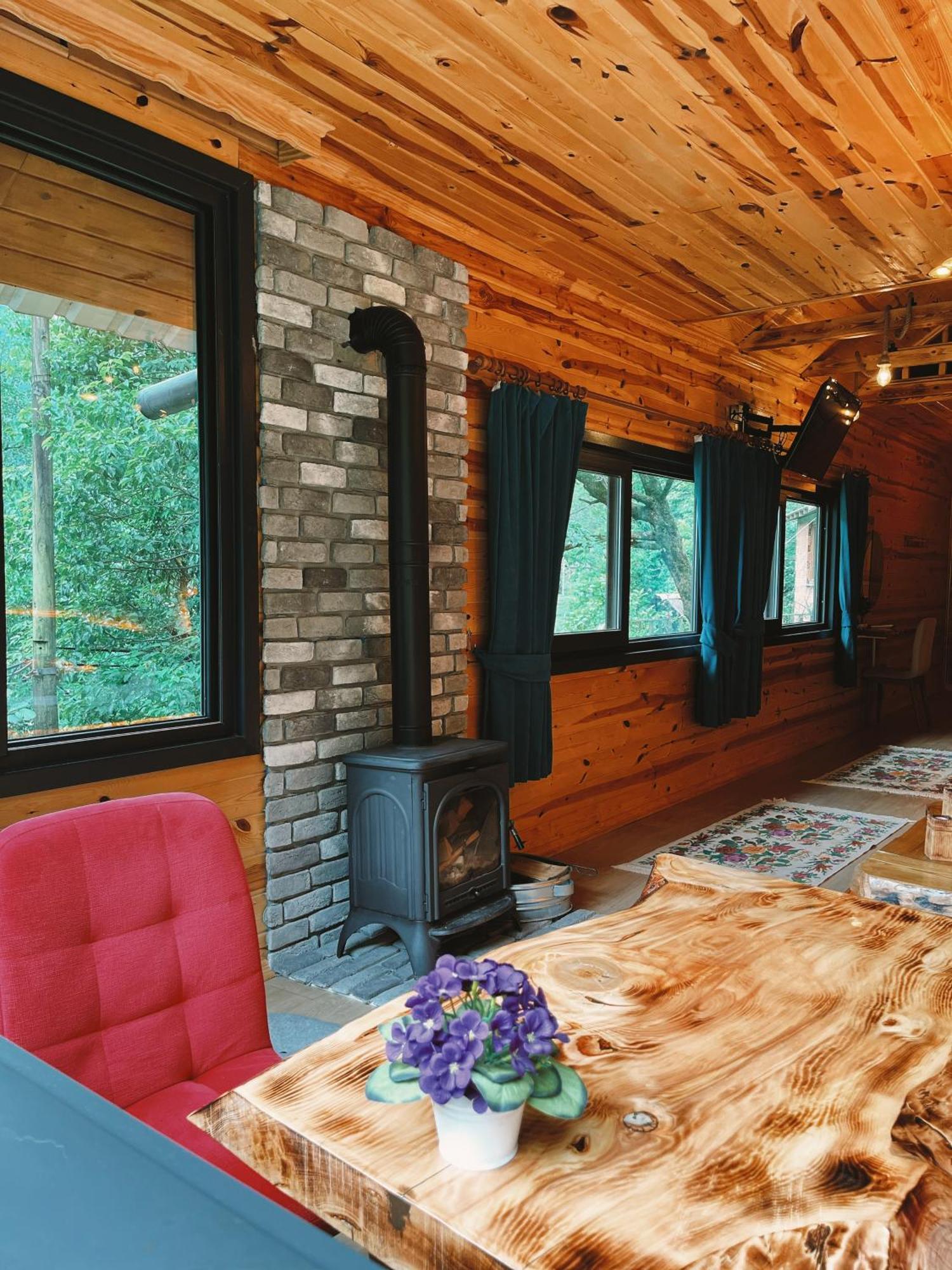 Ardeşen Kiana Bungalov B&B 객실 사진